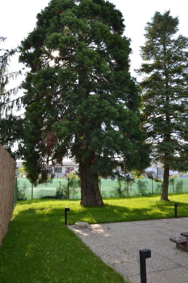Akvamarin Apartman Кестхей Экстерьер фото